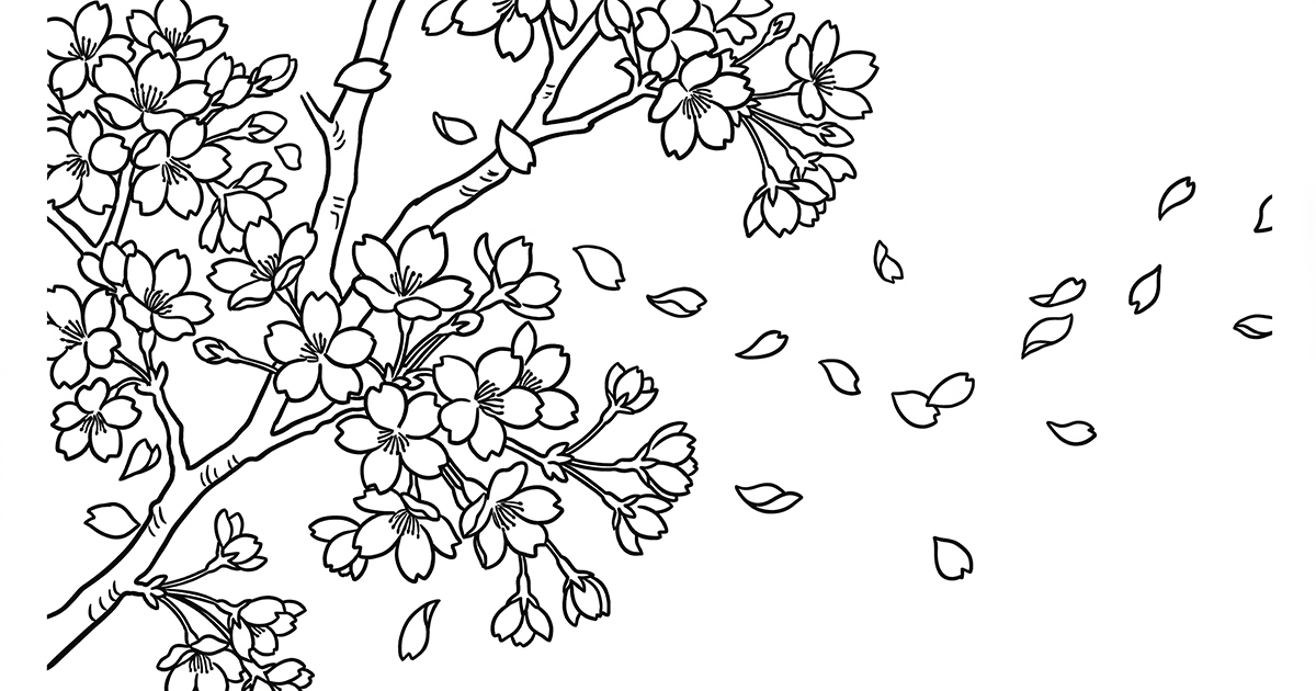 The Cultural Meaning of Cherry Blossoms